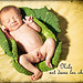 [explored] 68/365 Nils est dans les choux...