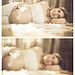 Sol'in pregnancy Sol'in pregnancy