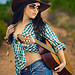 Le nouveau western (country music)