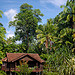 Tanjung Inn (Villa De Fedelia) Hotel in Cherating