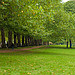 London's park