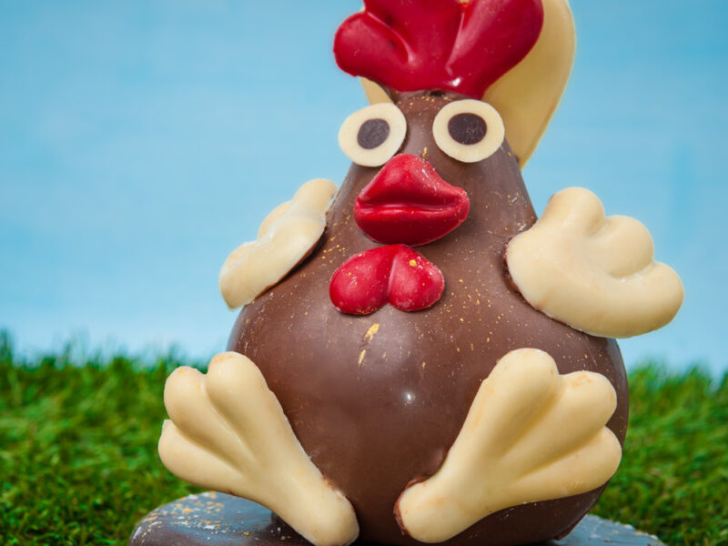 Chocolat, culinaire et animaux…