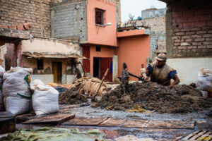 Les tanneurs de Marrakech