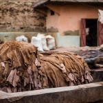 Les tanneurs de Marrakech