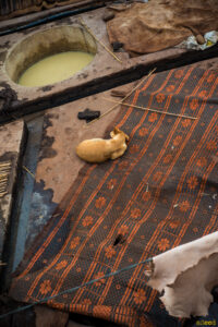 Les tanneurs de Marrakech