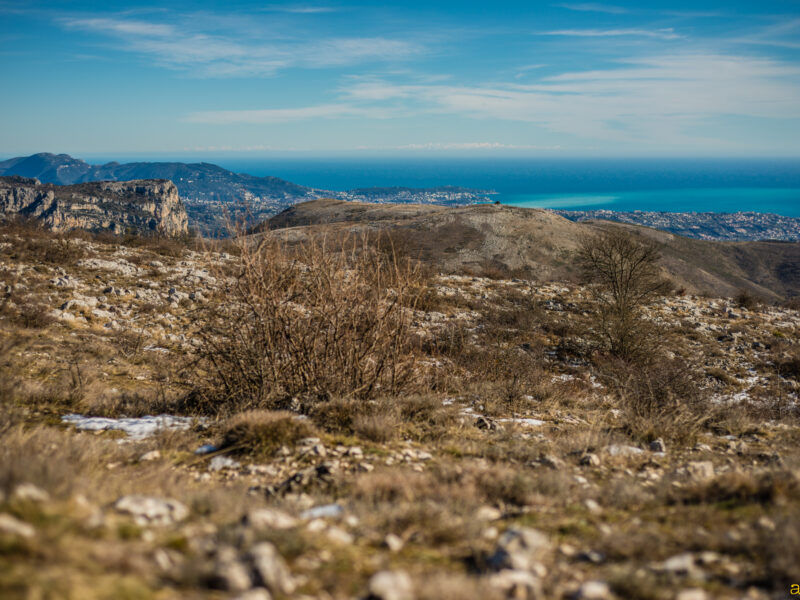 D800E : Premier paysage