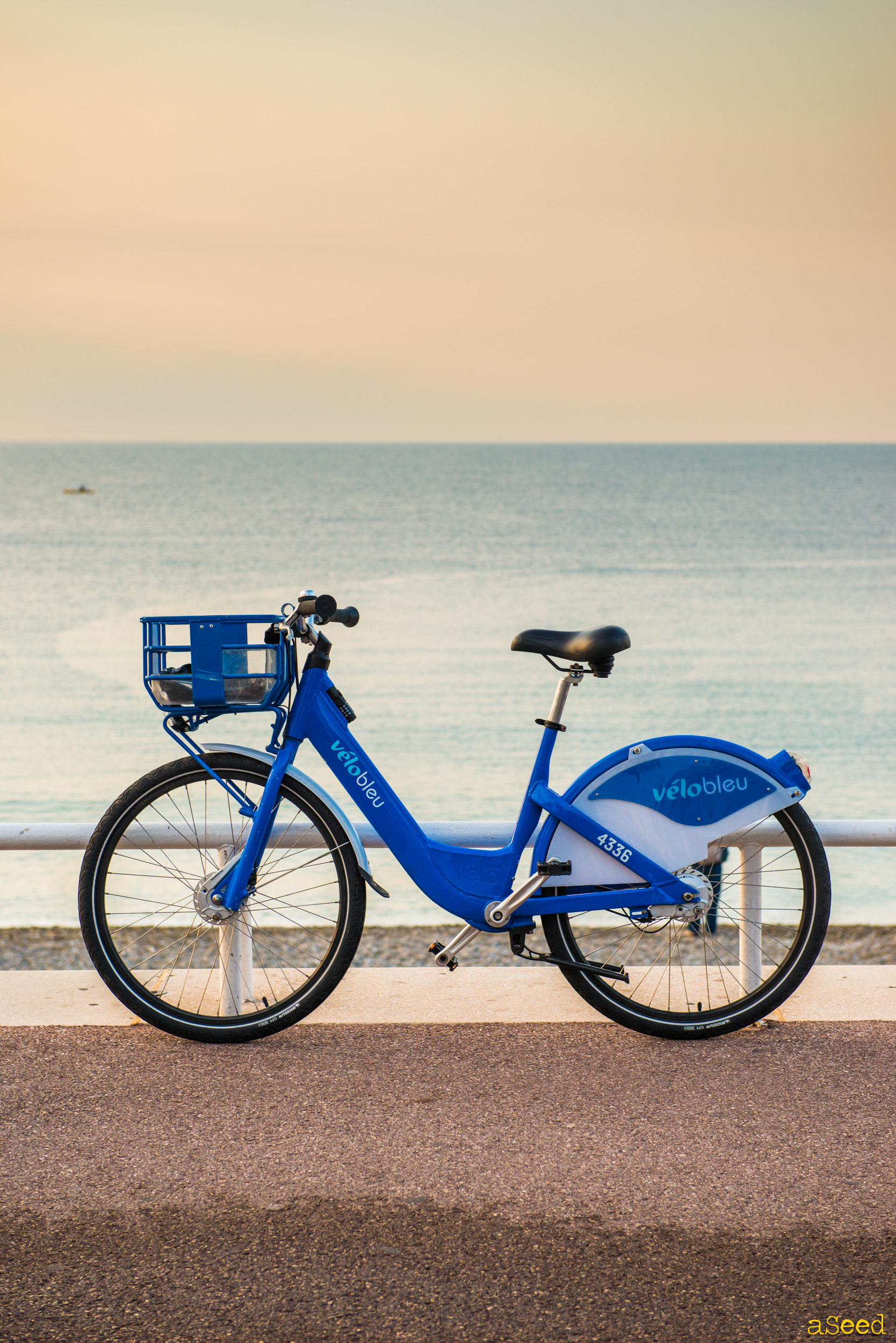 Velo bleu