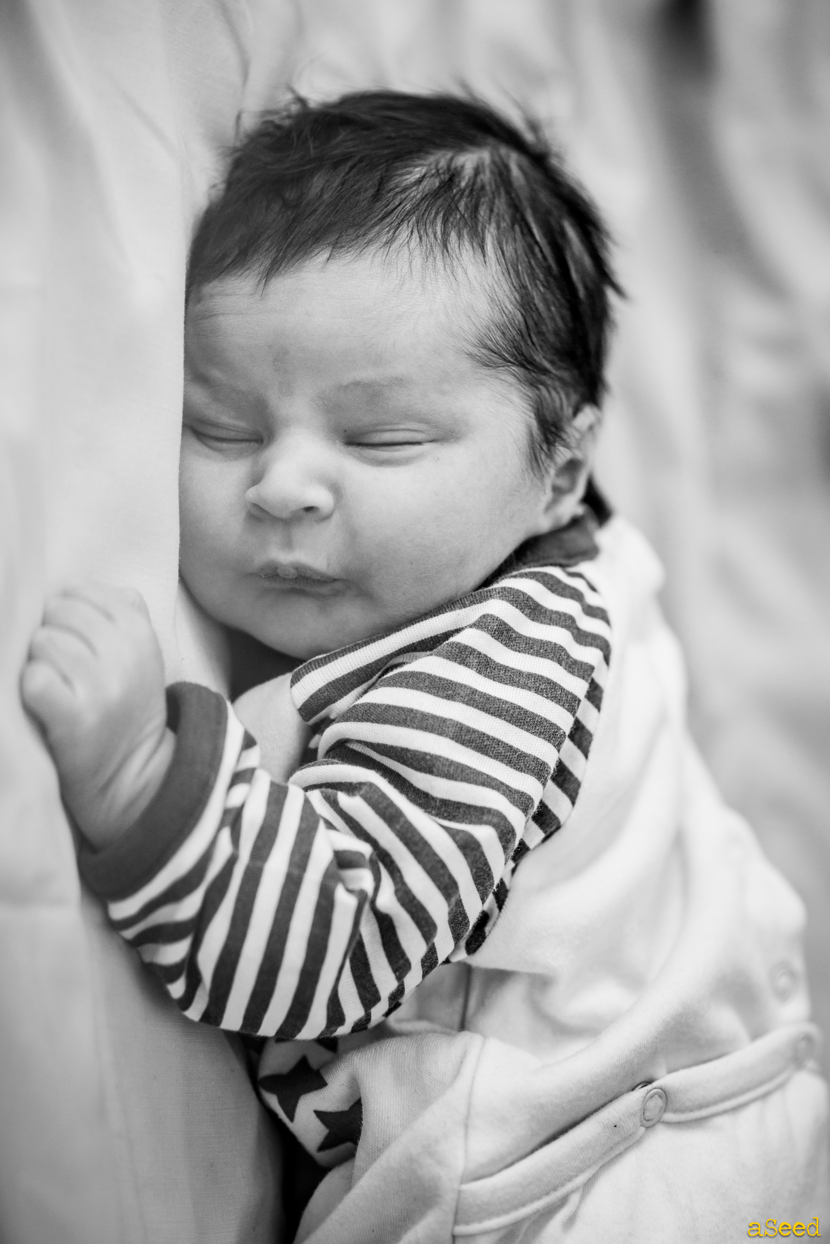 Eliott