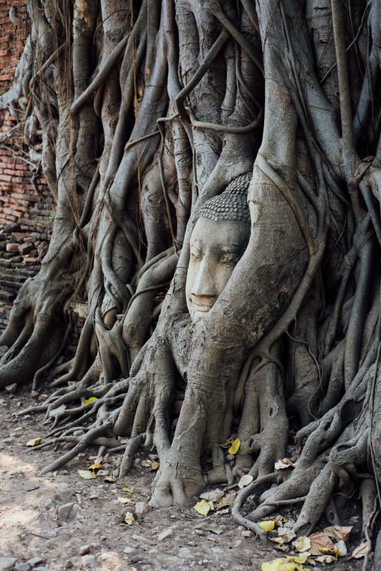 Ayutthaya 3