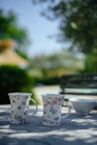 Photographe villa provence cote dazur 17