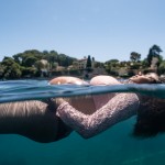 Séance photo de grossesse underwater cote d azur (20)