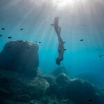 La dernière séance photo sous marine de 2023 je l’ai faite avec qui voulait