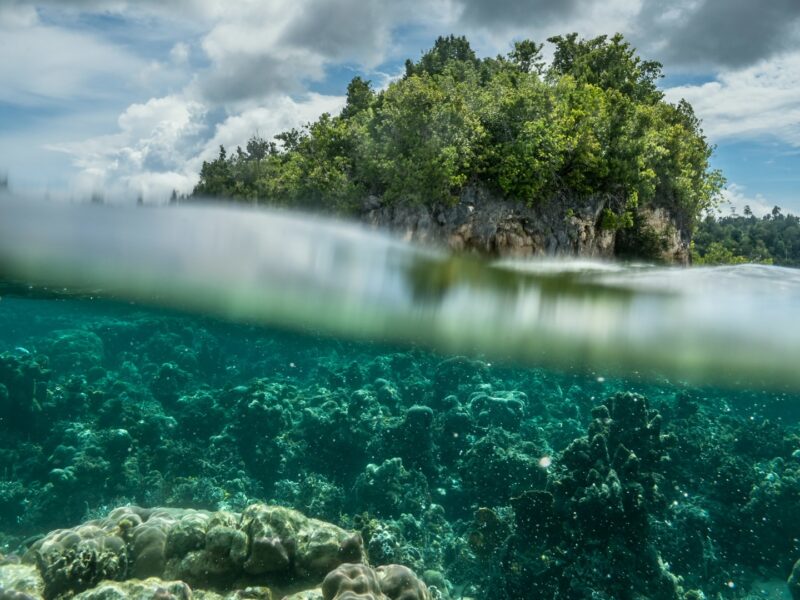 Malenge, mon paradis tropical