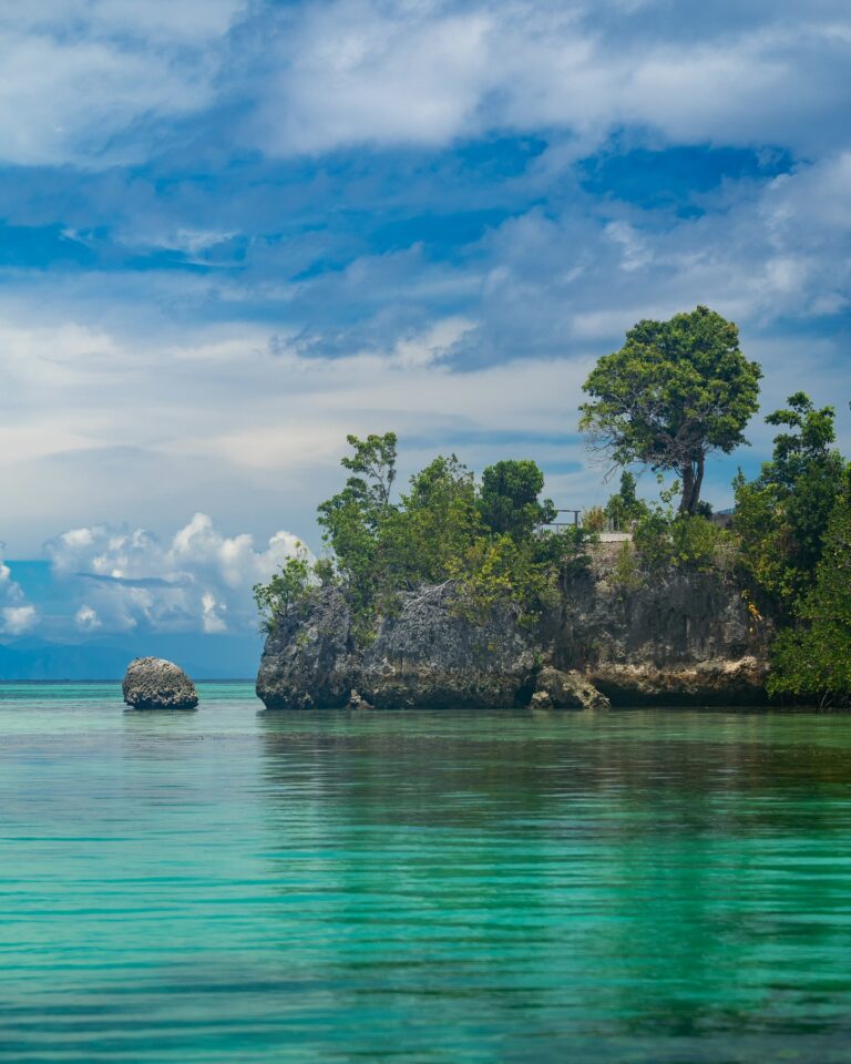 Aujourd’hui j’ai découvert que le restaurant de notre petit resort paradisiaque a brulé dans