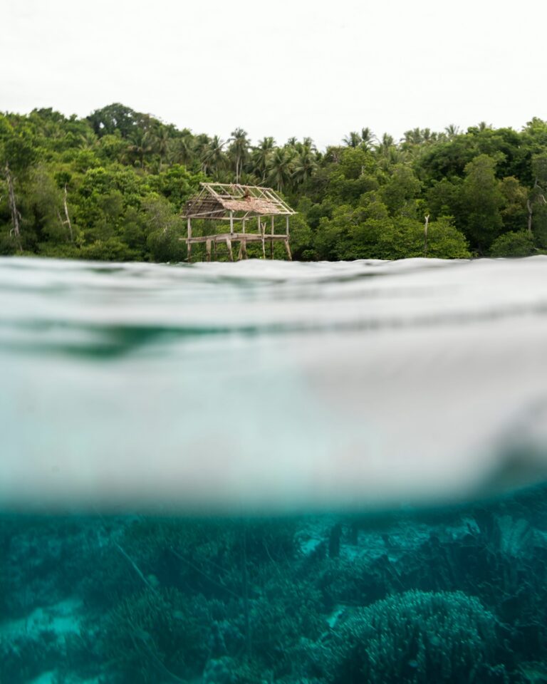 Aujourd’hui j’ai découvert que le restaurant de notre petit resort paradisiaque a brulé dans